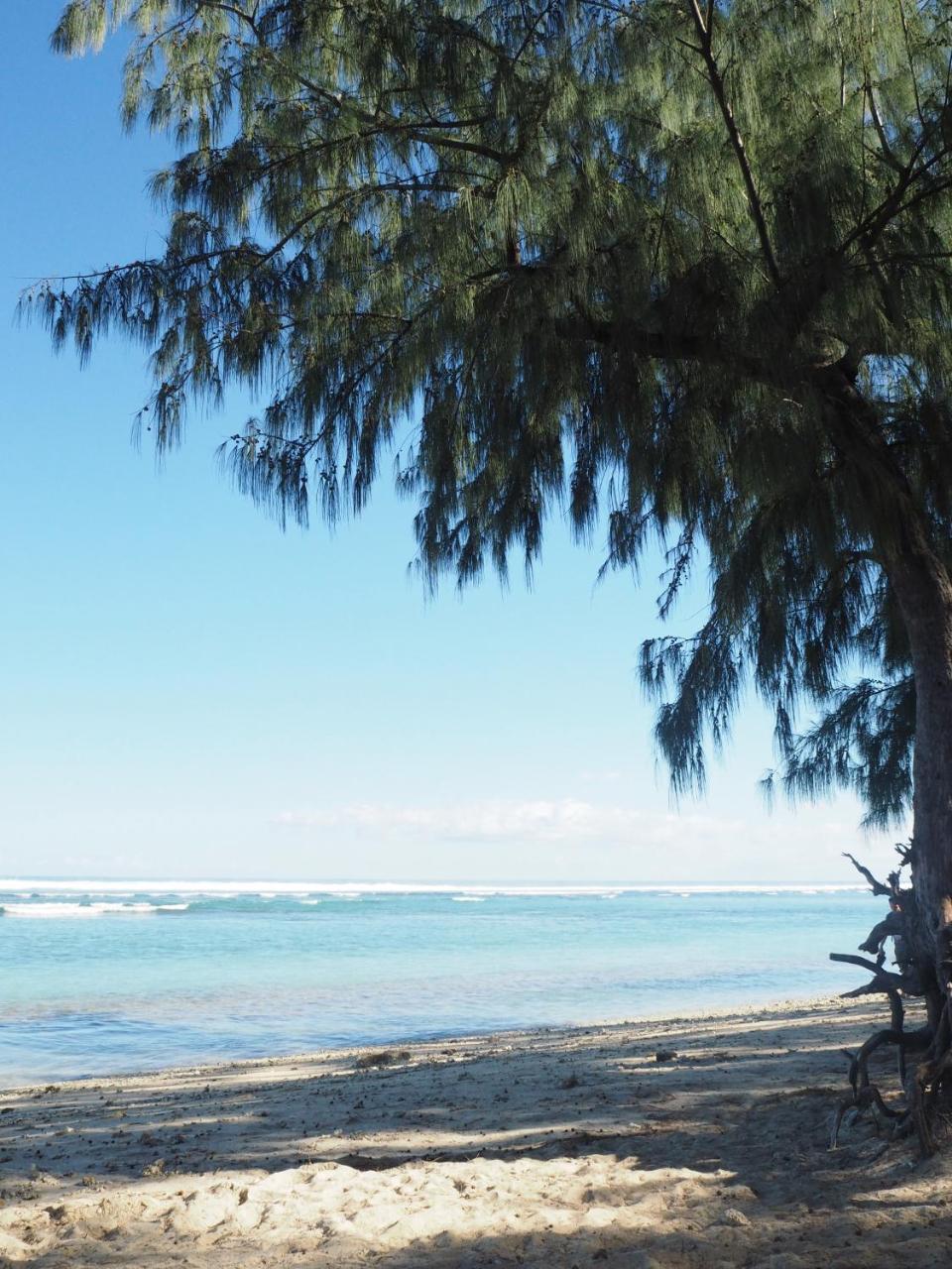 דירות סן-ז'יל-לה-באן Escale Tropicale, Appart Vue Mer A 2 Min Du Lagon מראה חיצוני תמונה